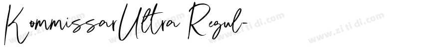KommissarUltra Regul字体转换 KommissarUltra Regul字体转换